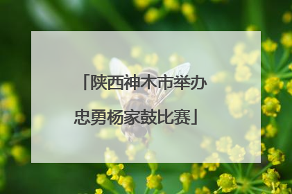 陕西神木市举办忠勇杨家鼓比赛