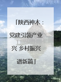 陕西神木：党建引领产业兴 乡村振兴谱新篇