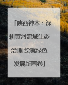 陕西神木：深耕黄河流域生态治理 绘就绿色发展新画卷