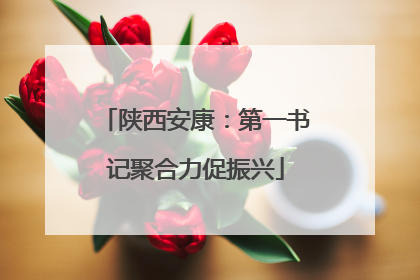 陕西安康：第一书记聚合力促振兴