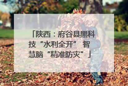 陕西：府谷县黑科技“水利全开” 智慧脑“精准防灾”