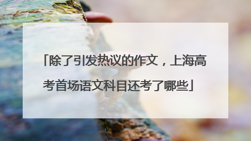 除了引发热议的作文，上海高考首场语文科目还考了哪些