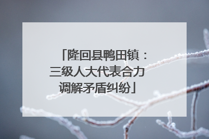 隆回县鸭田镇：三级人大代表合力调解矛盾纠纷