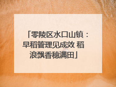 零陵区水口山镇：早稻管理见成效 稻浪飘香穗满田