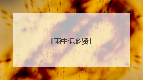 雨中识乡贤