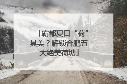 霸都夏日“荷”其美？解锁合肥五大绝美荷塘