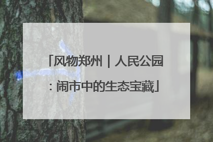 风物郑州｜人民公园：闹市中的生态宝藏