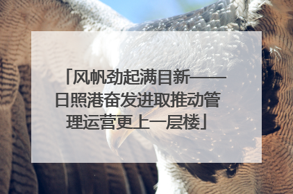风帆劲起满目新——日照港奋发进取推动管理运营更上一层楼