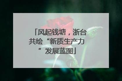风起钱塘，浙台共绘“新质生产力”发展蓝图