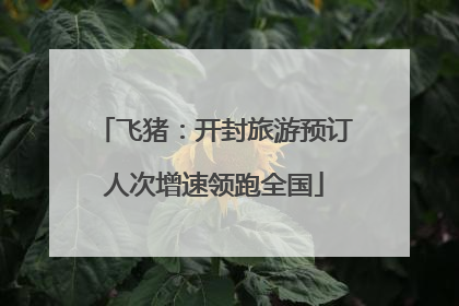 飞猪：开封旅游预订人次增速领跑全国
