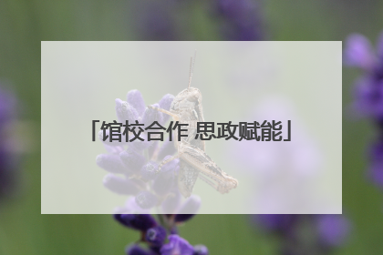 馆校合作 思政赋能