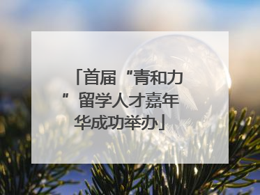 首届“青和力”留学人才嘉年华成功举办