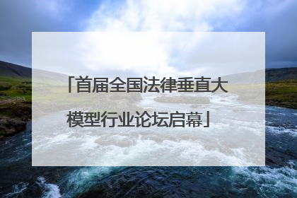 首届全国法律垂直大模型行业论坛启幕