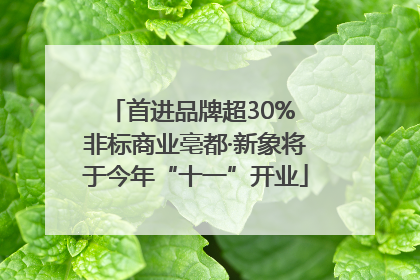 首进品牌超30% 非标商业亳都·新象将于今年“十一”开业