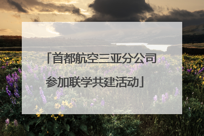 首都航空三亚分公司参加联学共建活动