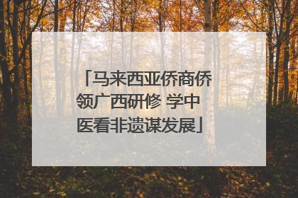 马来西亚侨商侨领广西研修 学中医看非遗谋发展