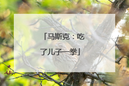 马斯克：吃了儿子一拳