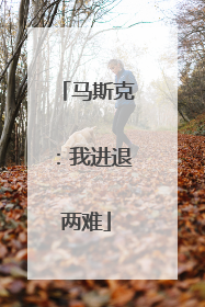 马斯克：我进退两难