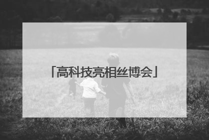 高科技亮相丝博会