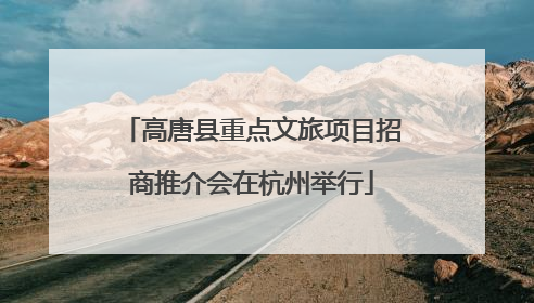 高唐县重点文旅项目招商推介会在杭州举行
