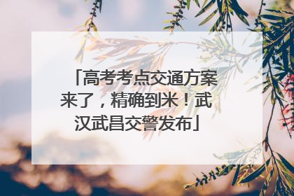 高考考点交通方案来了，精确到米！武汉武昌交警发布