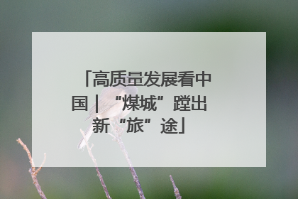 高质量发展看中国｜“煤城”蹚出新“旅”途