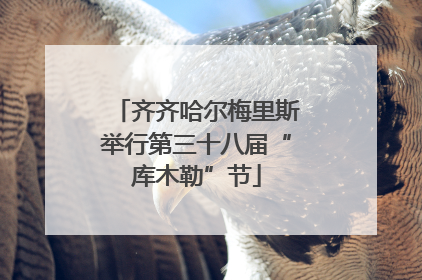 齐齐哈尔梅里斯举行第三十八届“库木勒”节