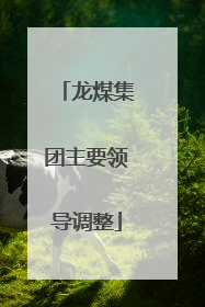 龙煤集团主要领导调整