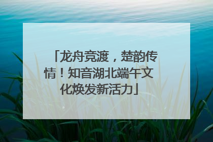 龙舟竞渡，楚韵传情！知音湖北端午文化焕发新活力