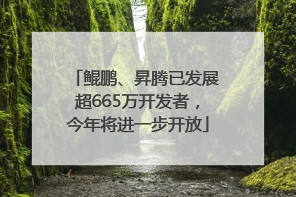 鲲鹏、昇腾已发展超665万开发者，今年将进一步开放