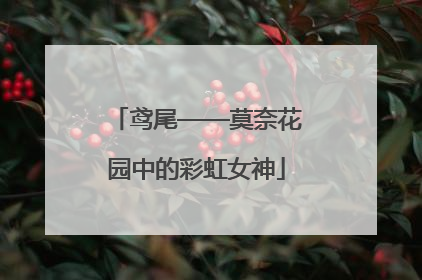鸢尾——莫奈花园中的彩虹女神