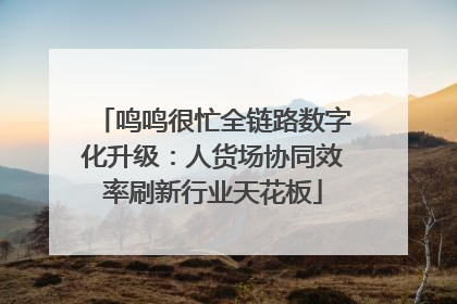 鸣鸣很忙全链路数字化升级：人货场协同效率刷新行业天花板