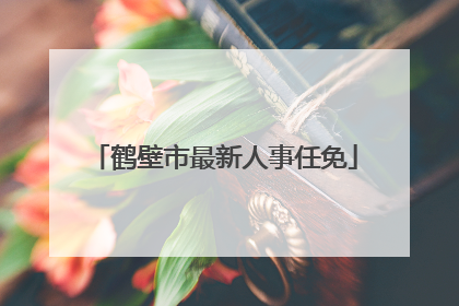 鹤壁市最新人事任免