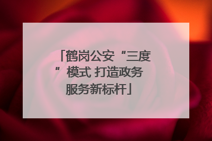 鹤岗公安“三度”模式 打造政务服务新标杆