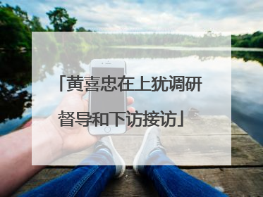 黄喜忠在上犹调研督导和下访接访