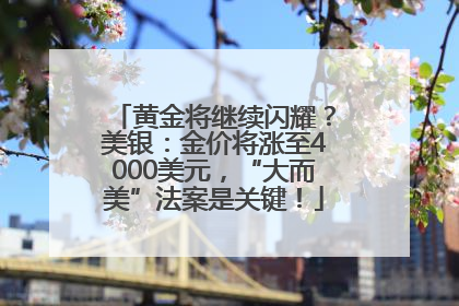 黄金将继续闪耀？美银：金价将涨至4000美元，“大而美”法案是关键！