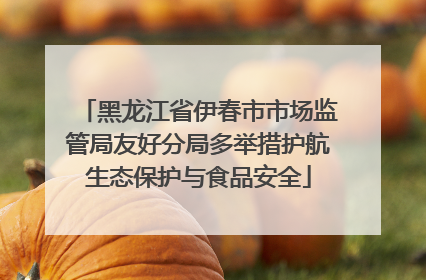 黑龙江省伊春市市场监管局友好分局多举措护航生态保护与食品安全