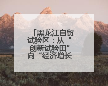 黑龙江自贸试验区：从“创新试验田”向“经济增长极”的质变