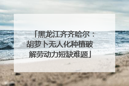 黑龙江齐齐哈尔：胡萝卜无人化种植破解劳动力短缺难题