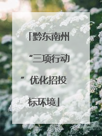 黔东南州“三项行动”优化招投标环境