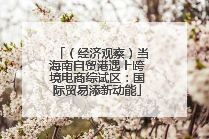 （经济观察）当海南自贸港遇上跨境电商综试区：国际贸易添新动能