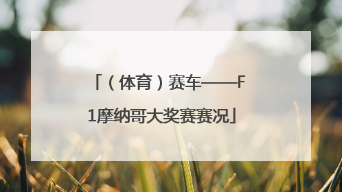 （体育）赛车——F1摩纳哥大奖赛赛况