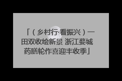 （乡村行·看振兴）一田双收绘新景 浙江婺城药膳轮作喜迎丰收季