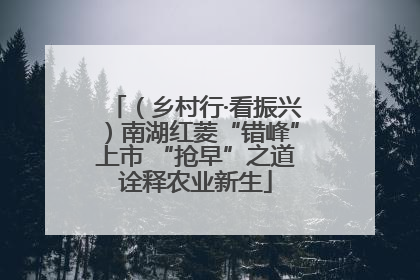 （乡村行·看振兴）南湖红菱“错峰”上市 “抢早”之道诠释农业新生