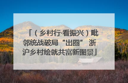 （乡村行·看振兴）毗邻统战破局“出圈” 浙沪乡村绘就共富新图景