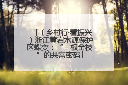 （乡村行·看振兴）浙江黄岩水源保护区蝶变：“一根金枝”的共富密码