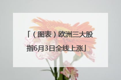 （图表）欧洲三大股指6月3日全线上涨