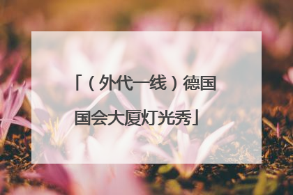 （外代一线）德国国会大厦灯光秀