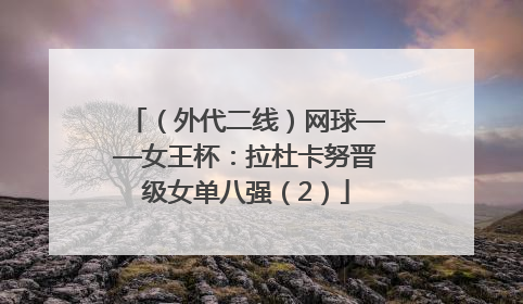 （外代二线）网球——女王杯：拉杜卡努晋级女单八强（2）