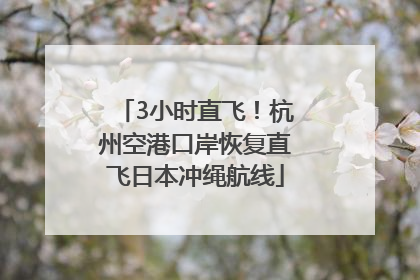 3小时直飞！杭州空港口岸恢复直飞日本冲绳航线